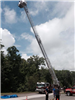 Fire Truck with its Ladder Extended