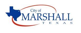 City Logo