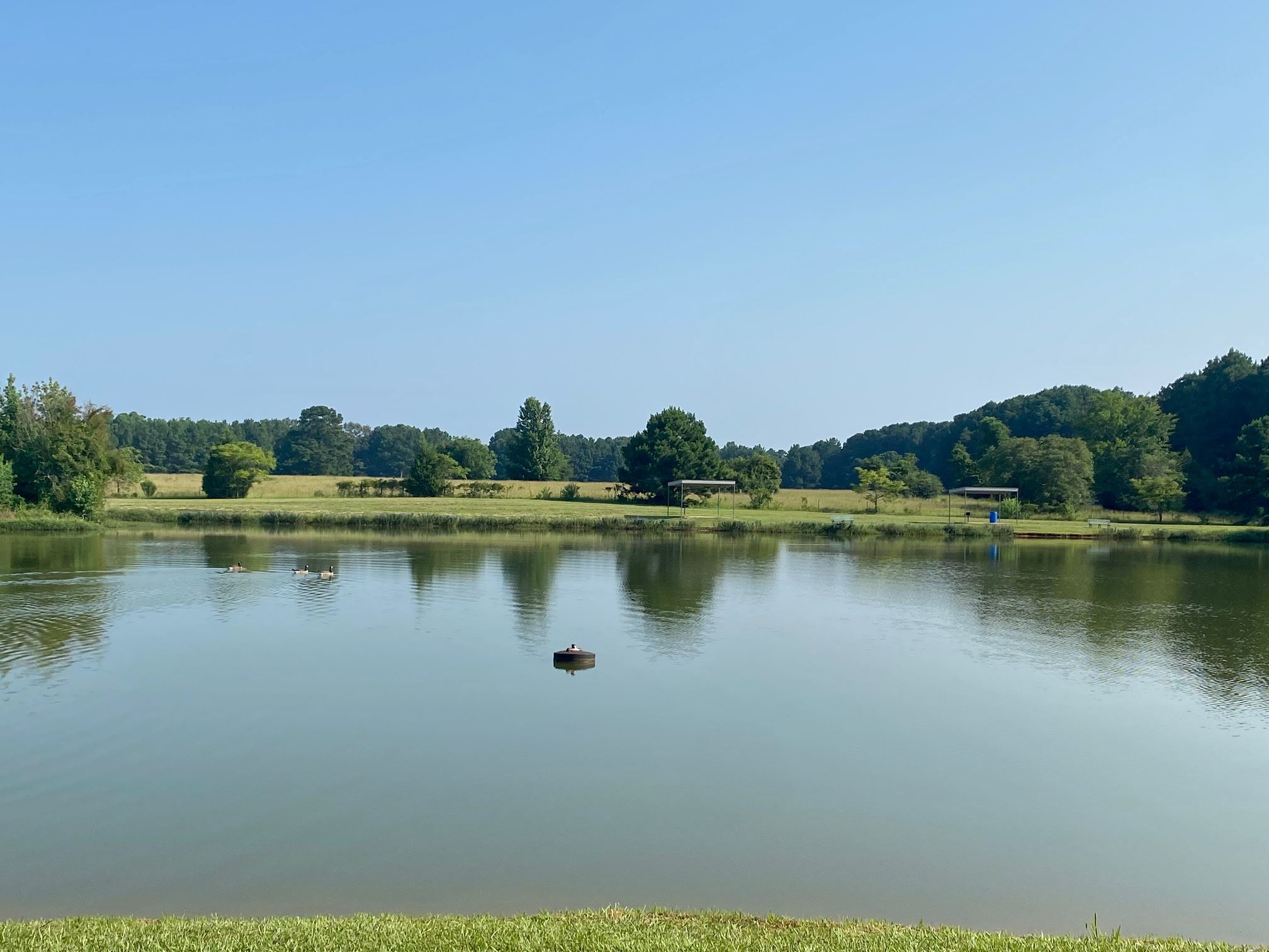 Marshall City Arena Pond