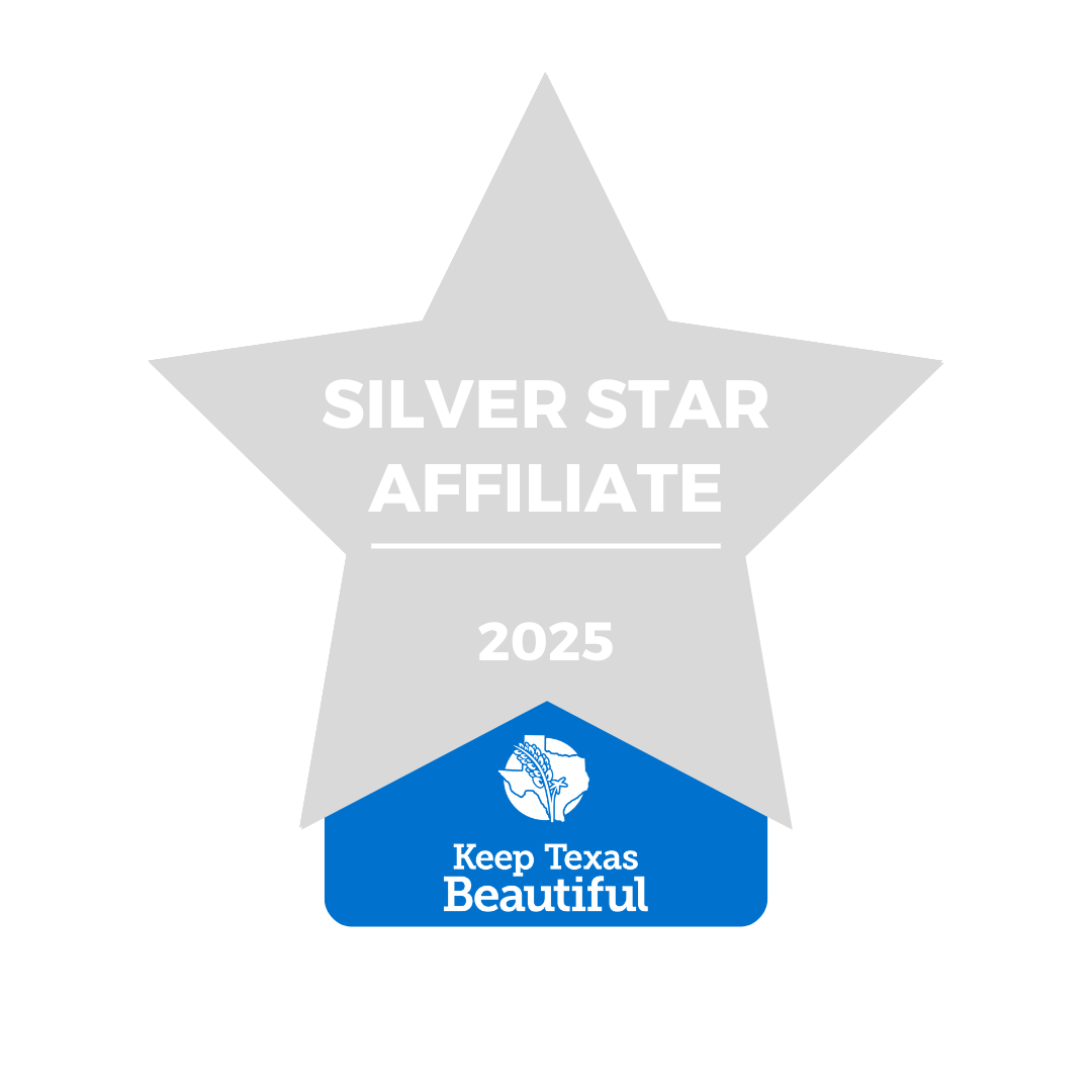 2025 SILVER STAR AFFILIATE WEB DECAL